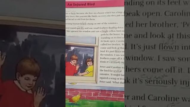 Class 4 English, Unit 14, An injured Bird, Reading and explanation смотреть онлайн