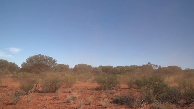 Ultimate 4 wheeling adventure remote desert 5/9 смотреть онлайн
