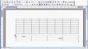 Таблицы в Word. Ячейки, границы и заливки и т.д.