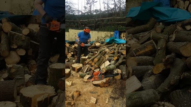 Oleo Mac 233 Vintage Italian 34cc Chainsaw. Cutting 3 to 8 inch logs. смотреть онлайн