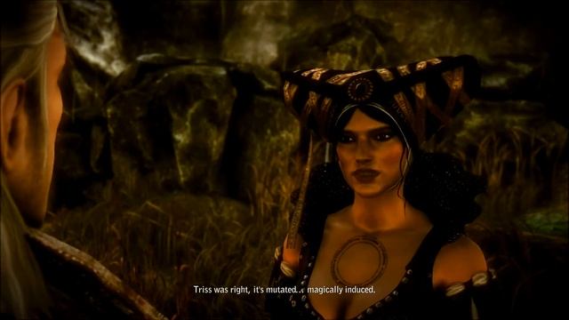 The Witcher 2 Assassin's of Kings - Dark Mode Playthrough - Part 12 - The Kayran смотреть онлайн