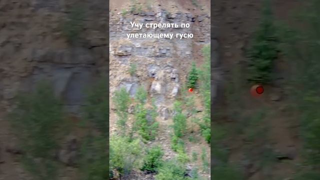 Учу стрельбе по улетающему гусю смотреть онлайн