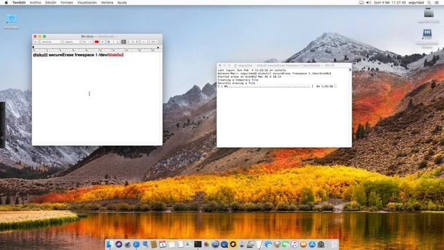 Hackintosh. Borrado seguro del espacio libre en el disco duro MacOS High Sierra смотреть онлайн
