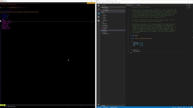 Linux development on WSL/Windows смотреть онлайн