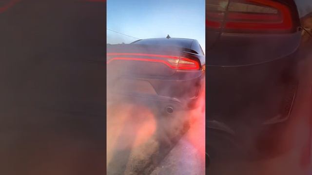 Dodge Charger Daytona Scat pack🐝 ArtLine Motors 🇷🇺 автомобили из США 🇺🇸 ОАЭ 🇦🇪 смотреть онлайн