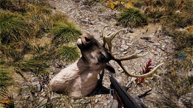 Far Cry 5 Sick Hunting Montage смотреть онлайн