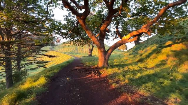 Mount Eden - Auckland - NZ - Apple ProRes & Filmic Pro DJI OM5 test смотреть онлайн