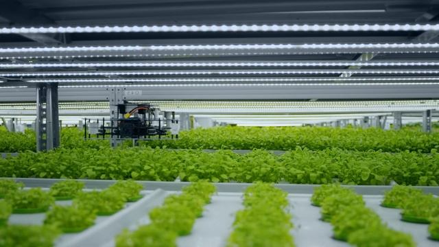 Презентация iFarm смотреть онлайн