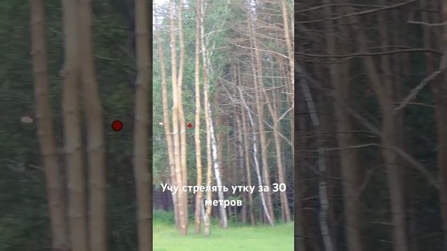 Учу стрелять утку за 30 метров в Спортинг клубе Румянцево смотреть онлайн