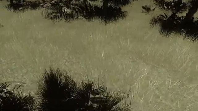 Far Cry 2 Map Editor (Test Clip) смотреть онлайн