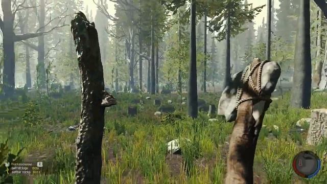 The Forest :Amd 7670m+i5 3210m 8 gb (1600 mh) смотреть онлайн