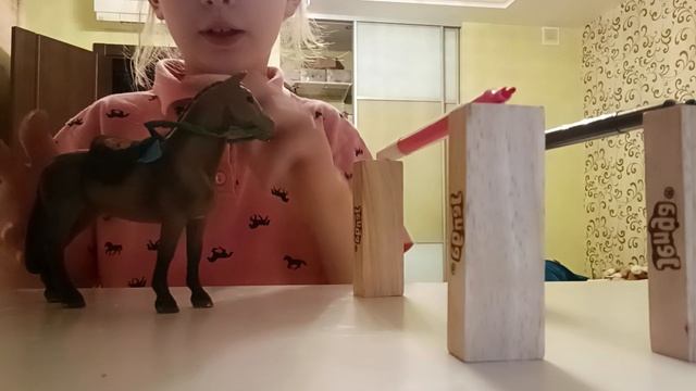 шоколадка выпрашивает на тренеровку🙄🙄🙄🙄🙄