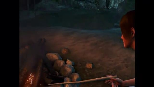 Прохождение игры Far Cry 3 (Серия-#5) смотреть онлайн