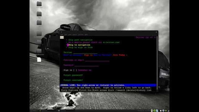 Lynx: Text Based Browser смотреть онлайн
