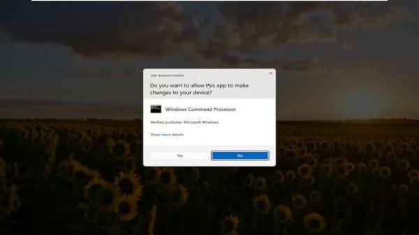 Fix 0x800f0988 Windows Update Failed, Error on Windows 11/10 [Solution]