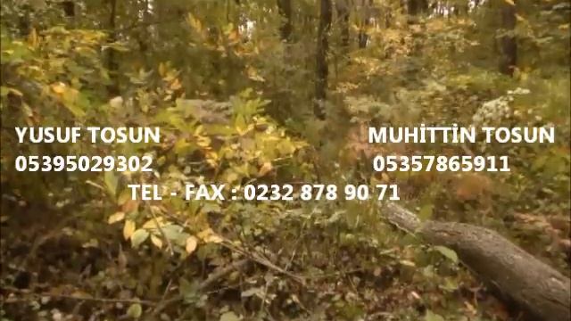 TOSUN TARIM MARKET ECHO MOTORLU TESTERE смотреть онлайн