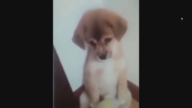 ПОДПИШИТЕСЬ ДРУЗЬЯ.