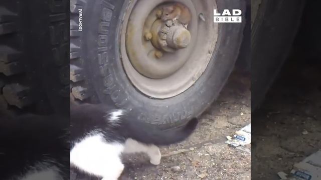 Поддержи подпиской смотреть онлайн
