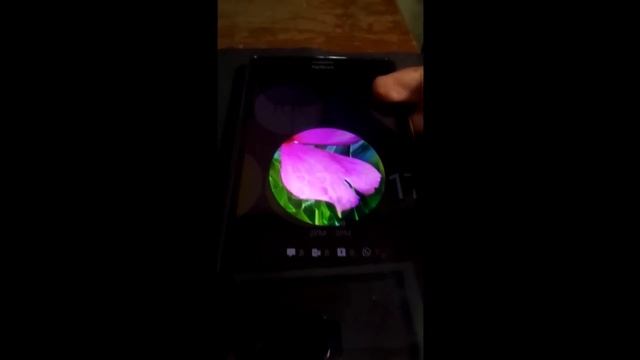 Animated Lockscreen Preview - Windows Phone 8.1 смотреть онлайн