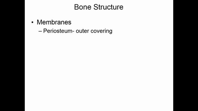 Bones Part 1 смотреть онлайн