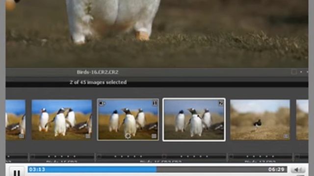 Phase One releases Capture One V5.1 смотреть онлайн