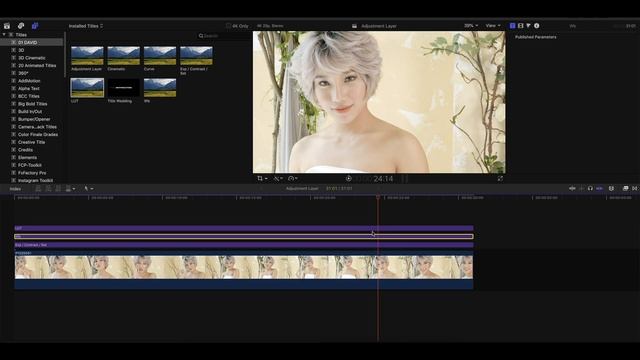 Cài đặt và sử dụng Adjustment Layer trong Final Cut Pro X смотреть онлайн