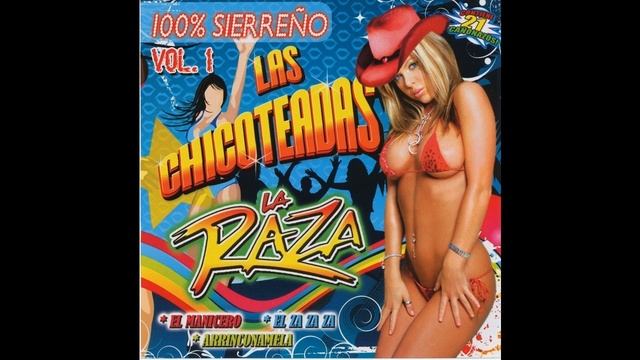 Los Vagos De Sinaloa - El Za Za Za смотреть онлайн