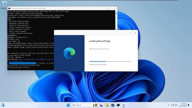 Enable Windows Copilot on tiny11 2311 смотреть онлайн
