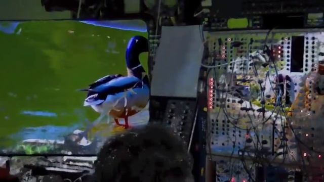 lunatic freq boxer смотреть онлайн