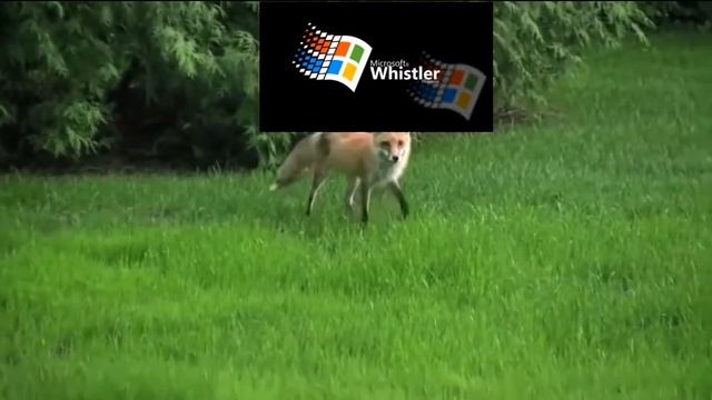 (For @FoxyTheFox) Screaming Fox has Sparta Remix 🦊 (Feat Samsung and Windows) смотреть онлайн