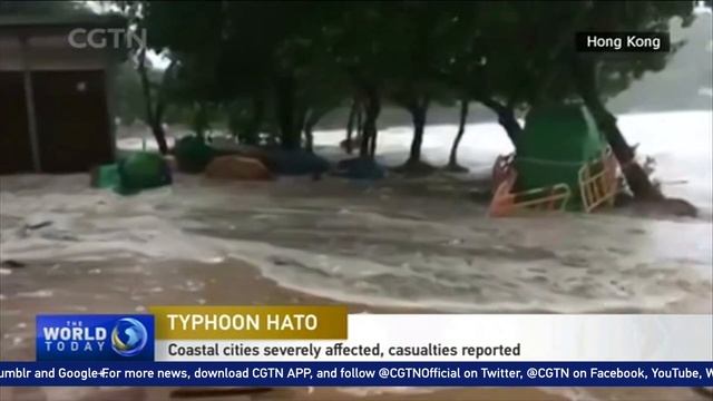 Typhoon Hato moving westwards in China, as HK downgrades warning смотреть онлайн