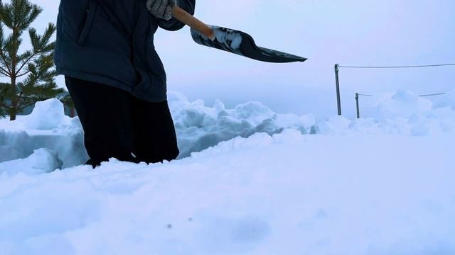 🧊РЕАЛЬНОЕ ПРОМЕРЗАНИЕ ГРУНТА🧊 Опыт первый. смотреть онлайн