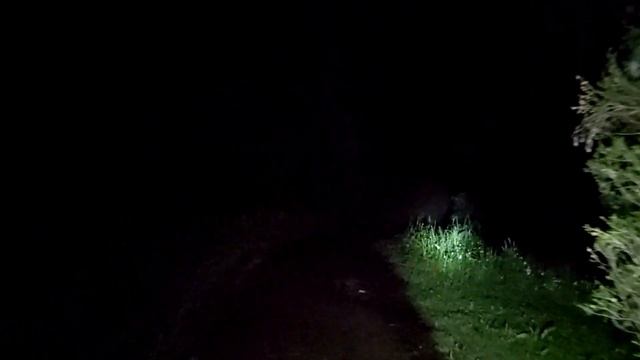 Sofirn IF30 Review смотреть онлайн