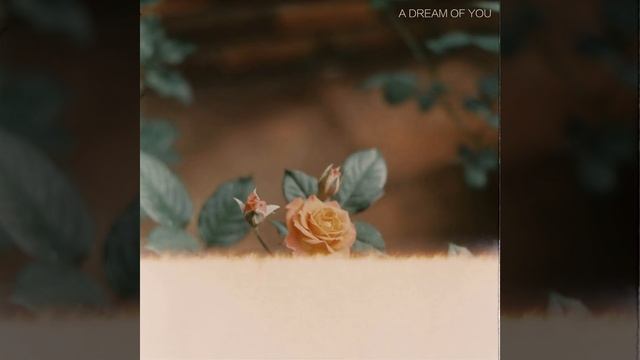 A Dream of You смотреть онлайн