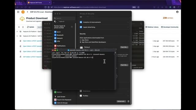 Neptune DXP Open Edotopm - Download, setup and run (MacOS) смотреть онлайн