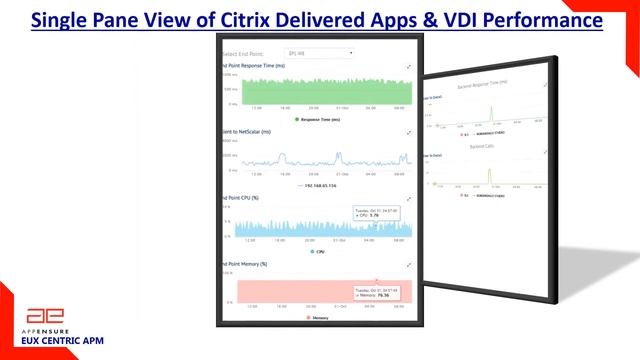 Citrix Single Pane View смотреть онлайн