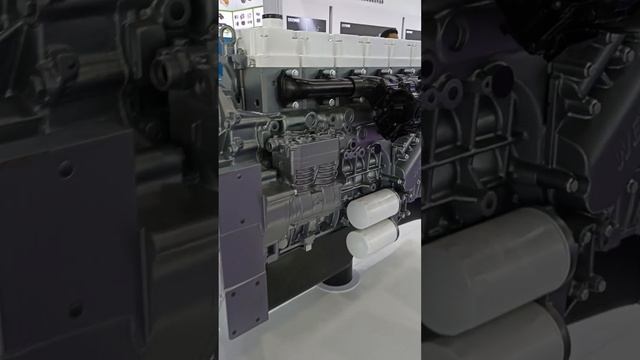 1000010498.mp4 смотреть онлайн