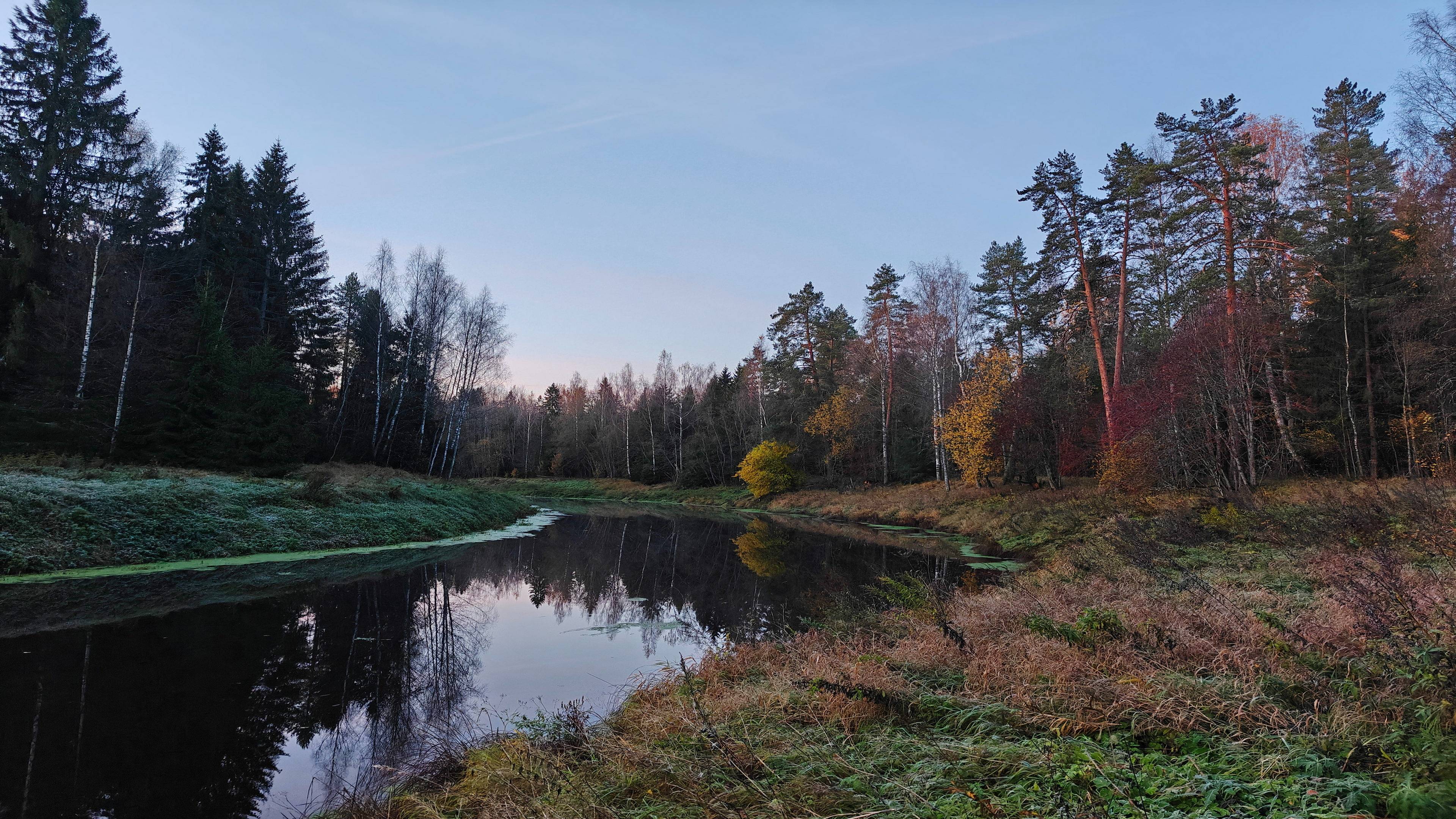 2024-10-19_Тосно-Гертовское