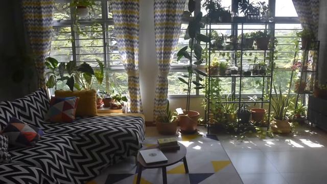 Sun Path for Houseplant Near South-East Facing Window смотреть онлайн