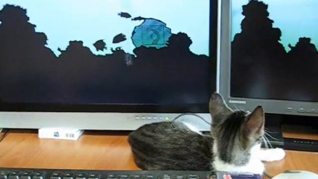 Stray Cat Strut смотреть онлайн