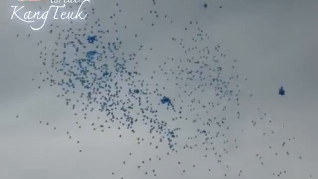 [Isreal-Project] Thai ELFs release the 1,306 balloons for SuJu 6th years.avi смотреть онлайн
