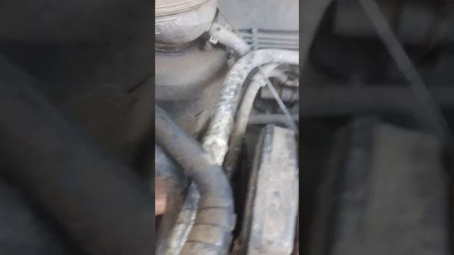 Cum se schimba cureaua de distribuție land rover ferlender 1998 pas cu pas (ultima parte 6) смотреть онлайн