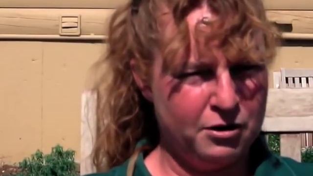 Raising Sheep & Goats For Profit - Full Version смотреть онлайн