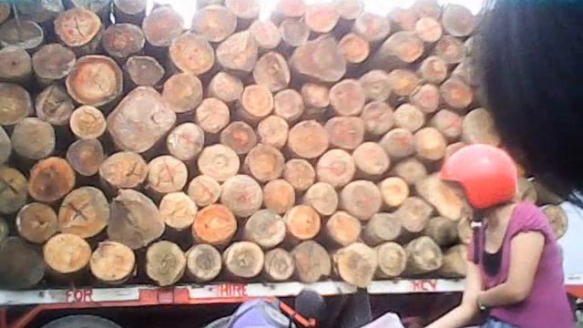 Mandacpan Elementary School investigatory project falcata sawdust pyrolysis.wmv смотреть онлайн