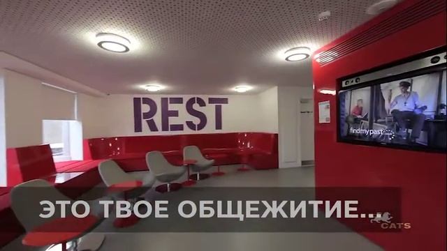 Английская олимпиада CATS 2016 в Краснодаре и Краснодарском крае смотреть онлайн