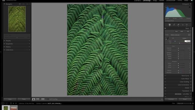 10 Tips for Working in the Develop Module in Lightroom Classic смотреть онлайн