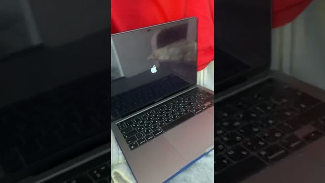 Mac Pro 2,1 vs Mac Pro 3,1 Radeon vs Nvidia, Metal))) смотреть онлайн