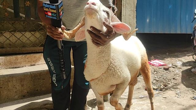 8801766045 valiety Menda Big Naseer bhai in hyderabad смотреть онлайн
