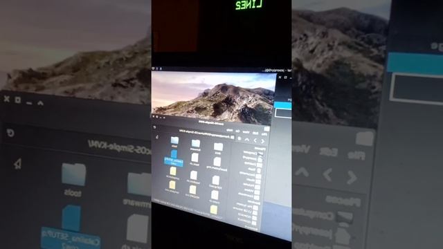 Tech Tuesday - Catalina_SETUP.qcow2 for Sosumi macOS-Simple-KVM, & more смотреть онлайн