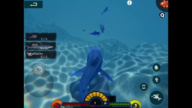 PLAYING AS THE MAKO SHARK IN SURVIVAL | feed and grow fish part 8 смотреть онлайн
